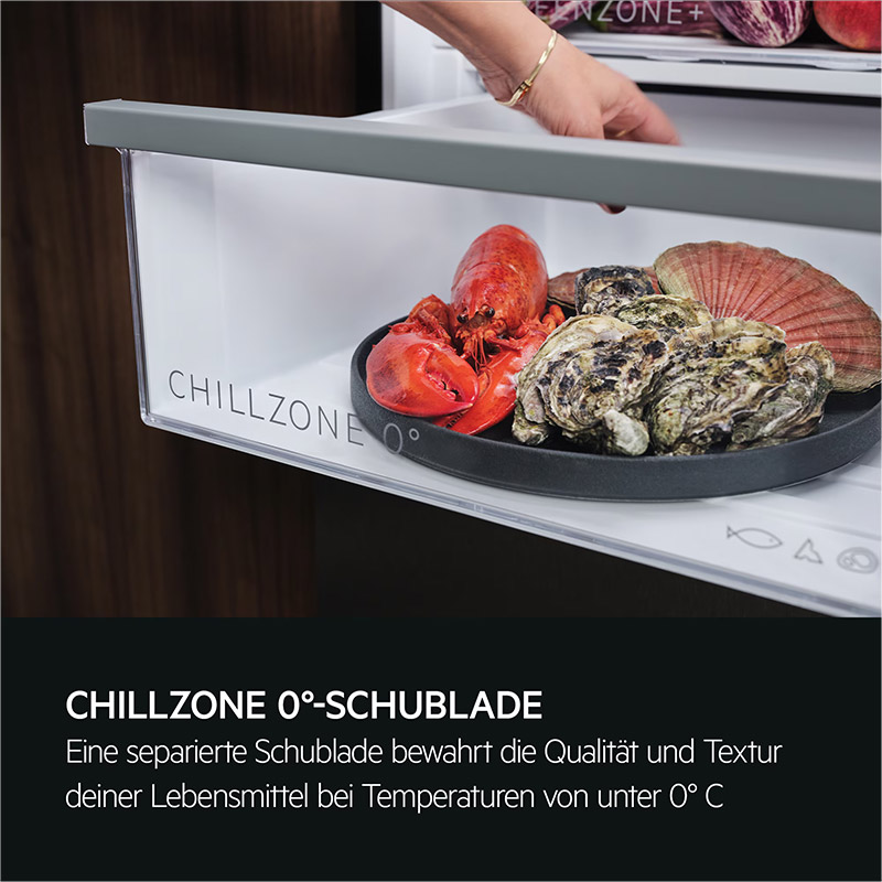 Kühl-/Gefrierkombination AEG TC 7 CS 181 AF
