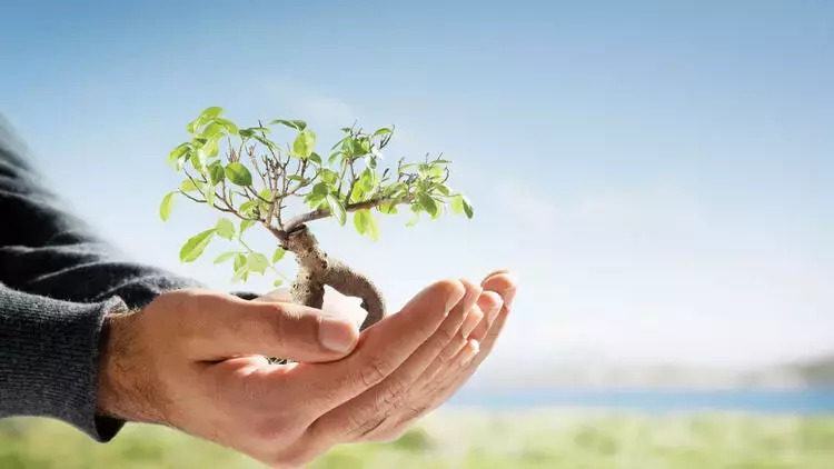 Energieeffizient auf höchstem Niveau