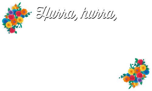 Jetzt viel sparen!