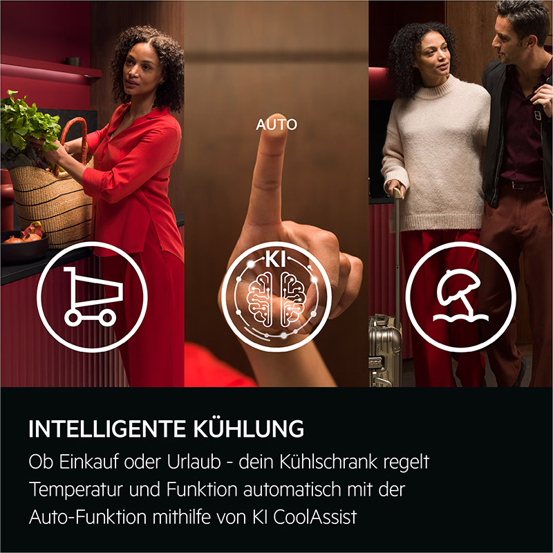 Kühl-/Gefrierkombination AEG TC 7 CS 181 AF
